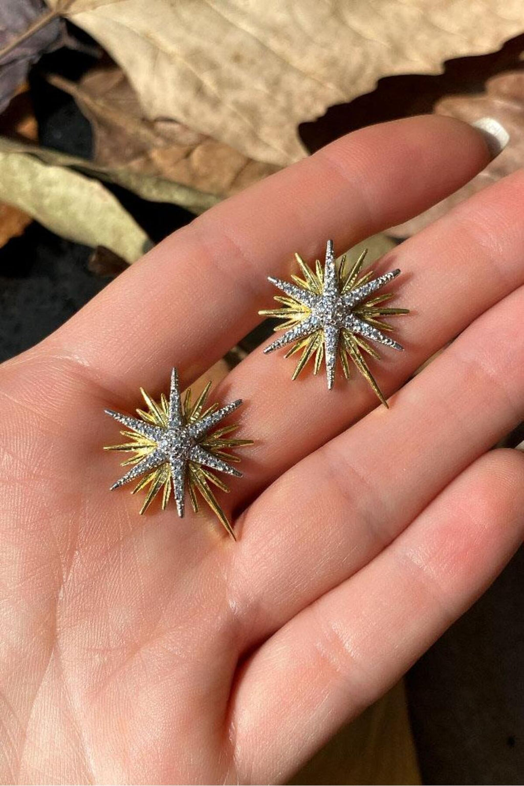 Kutup Yıldızı Küpe