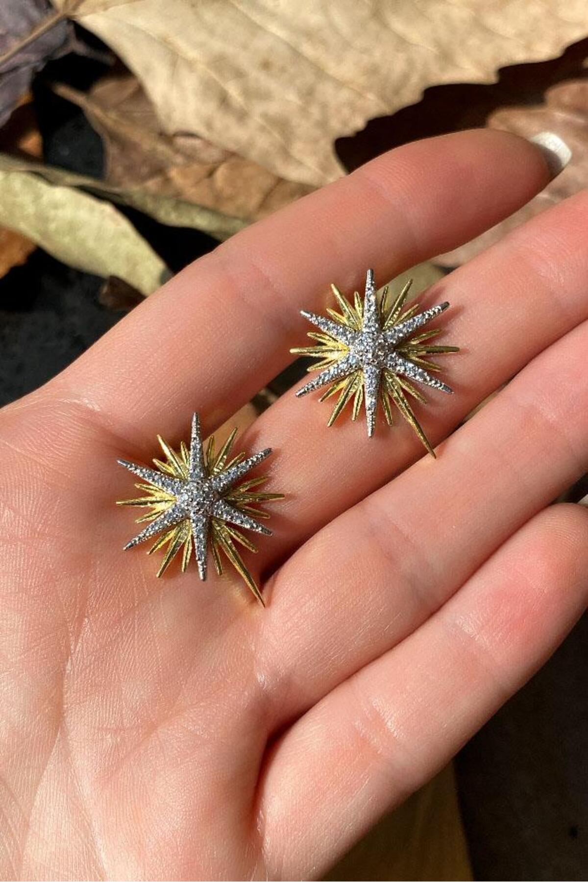Kutup Yıldızı Küpe