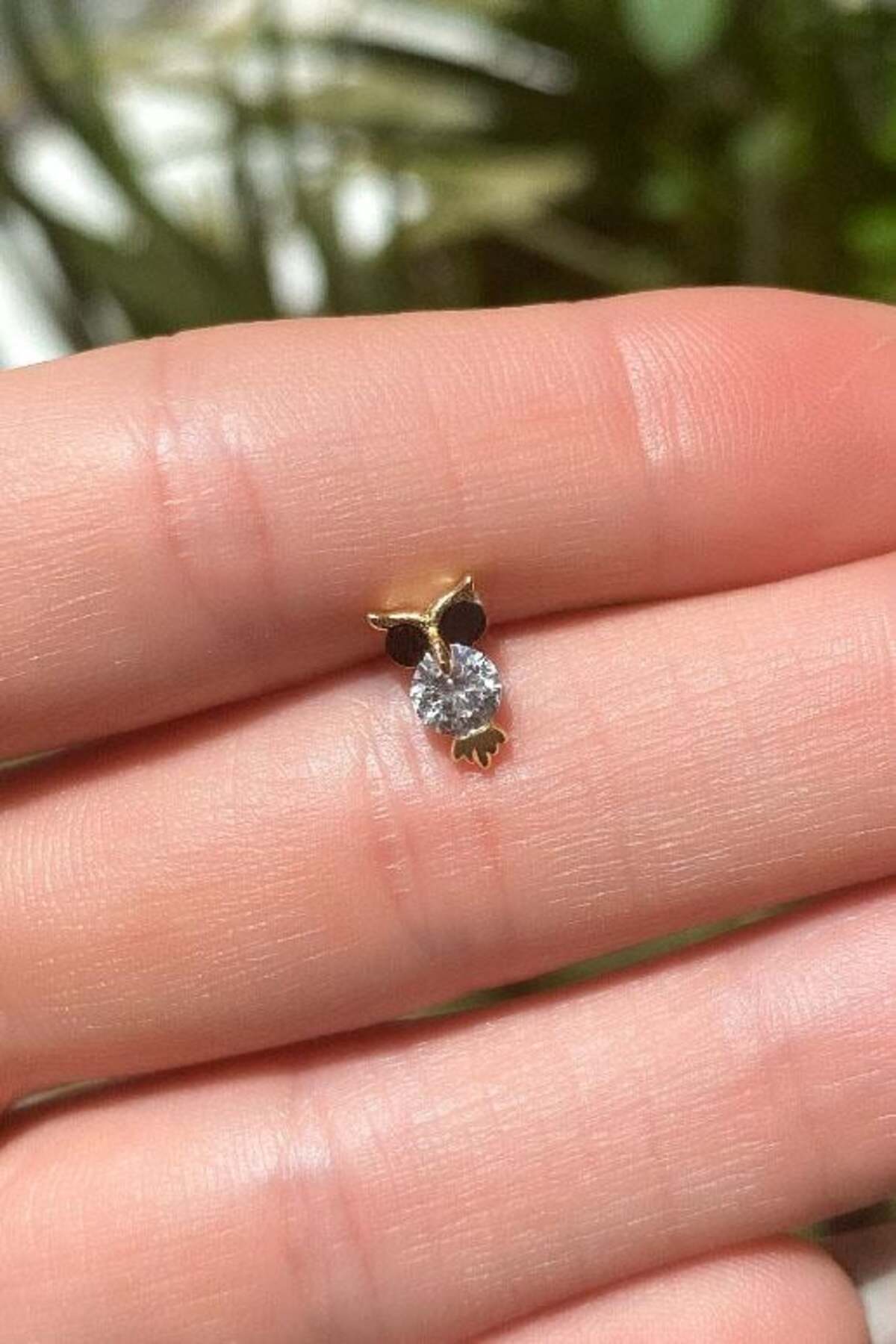 Baykuş Piercing Küpe