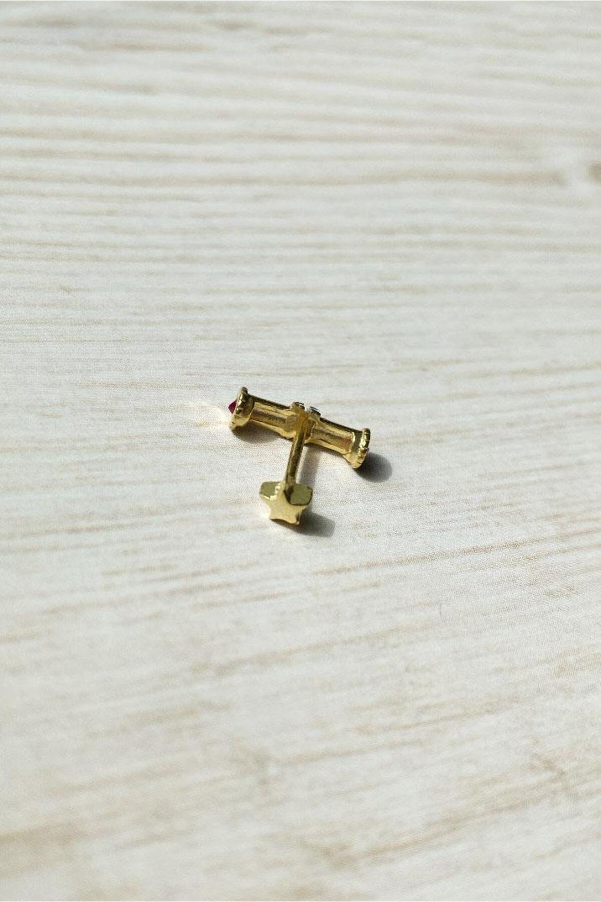 Çizgi Tasarım Piercing Küpe