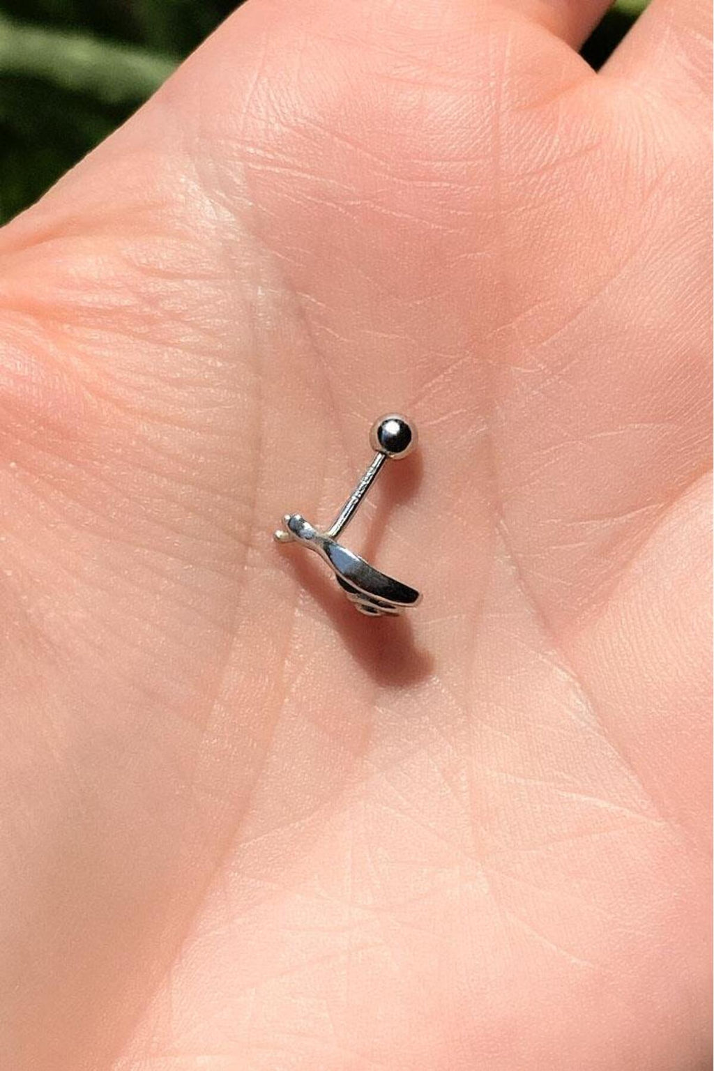 Salyangoz Piercing Küpe